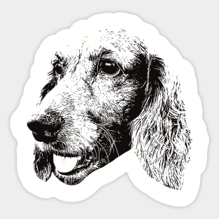 American Cocker Spaniel gift for Cocker Spaniel Owners Sticker